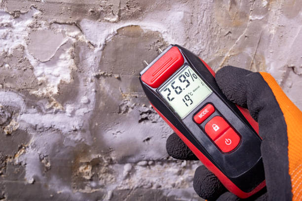 Best Attic Mold Removal  in White Salmon, WA