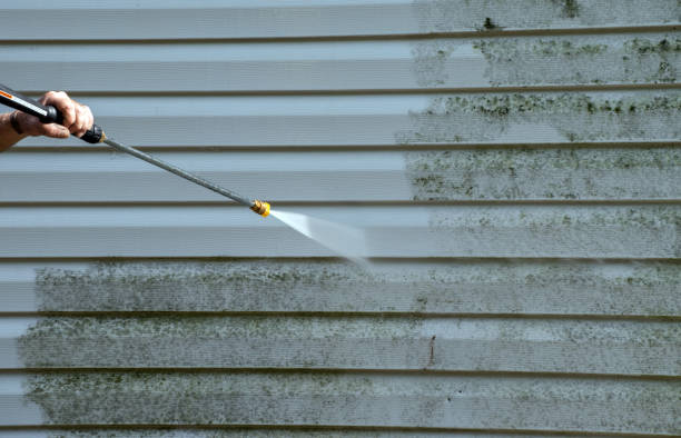 Best Mold Removal Near Me  in White Salmon, WA