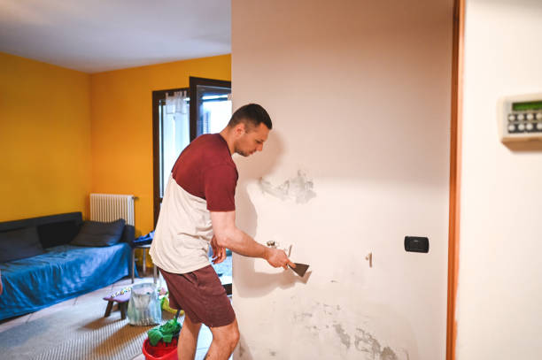 Best Commercial Mold Removal  in White Salmon, WA